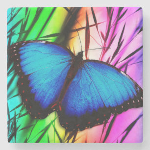 Beautiful Blue Morpho Schmetterling Steinuntersetzer
