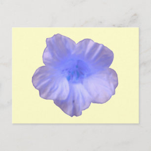 Beautiful Blue Nasturtium Postcard Postkarte