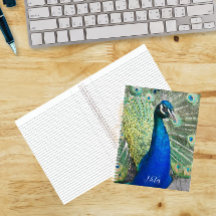Beautiful Blue Peacock Feathers Foto