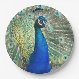 Beautiful Blue Peacock Feathers Pappteller