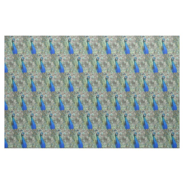 Beautiful Blue Peacock Feathers Stoff (Fat Quarter (45,7 x 55,9 cm))