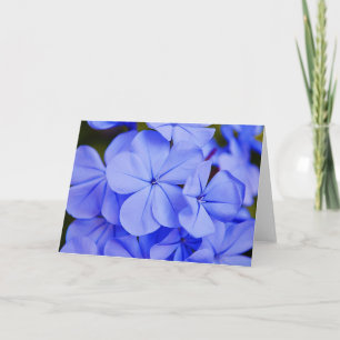 Beautiful Blue Tropical Blume Note Card Karte