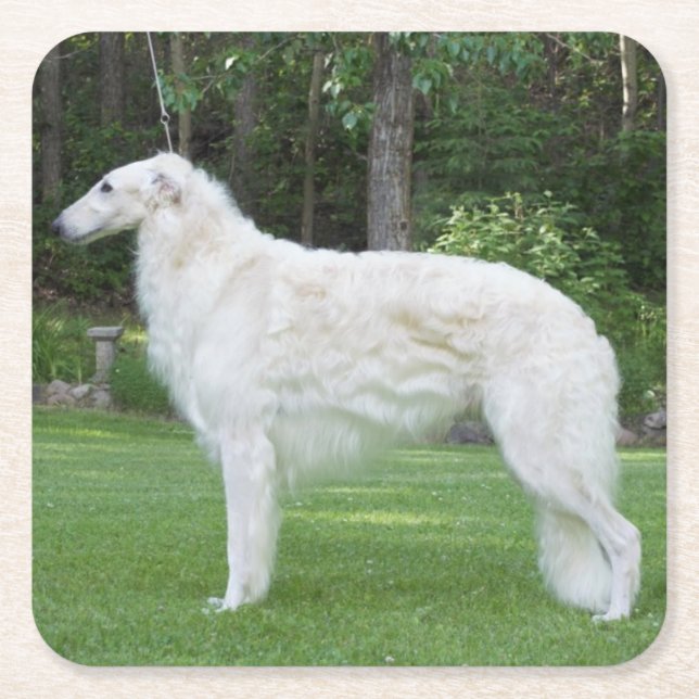 Beautiful Borzoi Rechteckiger Pappuntersetzer (Vorderseite)