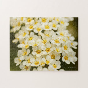 Beautiful Bridal Wreath Spiraea Puzzle