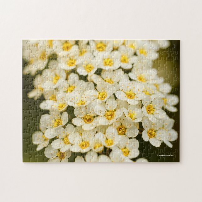Beautiful Bridal Wreath Spiraea Puzzle (Horizontal)