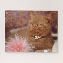 Beautiful British Shorthair Kitten Puzzle