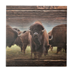Beautiful Buffalo Herd Fliese