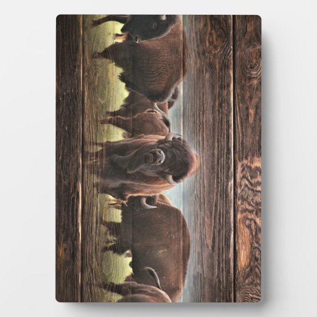 Beautiful Buffalo Herd Fotoplatte (Vorderseite)