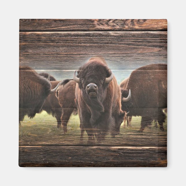 Beautiful Buffalo Herd Magnet (Vorne)