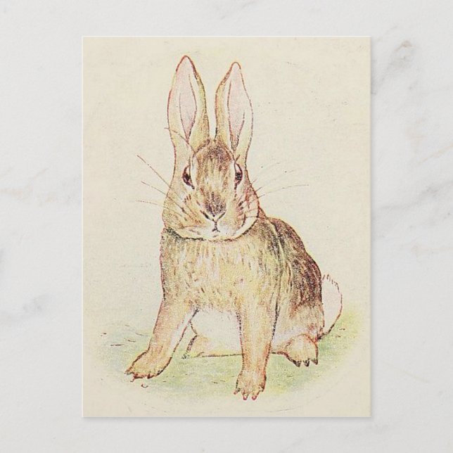 Beautiful Bunny Postkarte (Vorderseite)