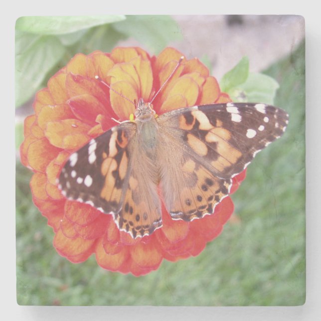 Beautiful Butterfly Stone Untersetzer (Vorderseite)
