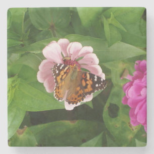 Beautiful Butterfly Stone Untersetzer