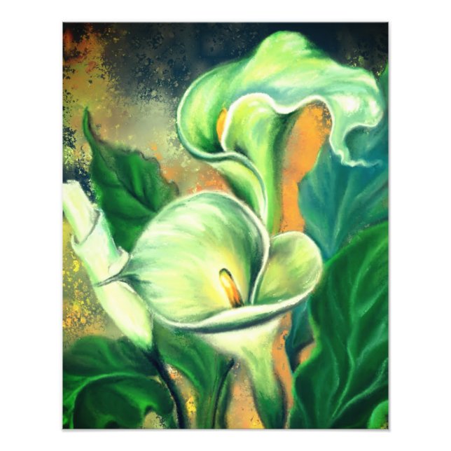 Beautiful Calla Lily Blume - Gezeichnet von Migned Fotodruck (Vorne)