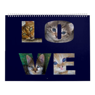 Beautiful Cats for all Who Love Them 2023 Calendar Kalender