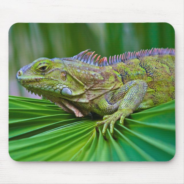 Beautiful Chameleon Mouse Pad Mousepad (Vorne)