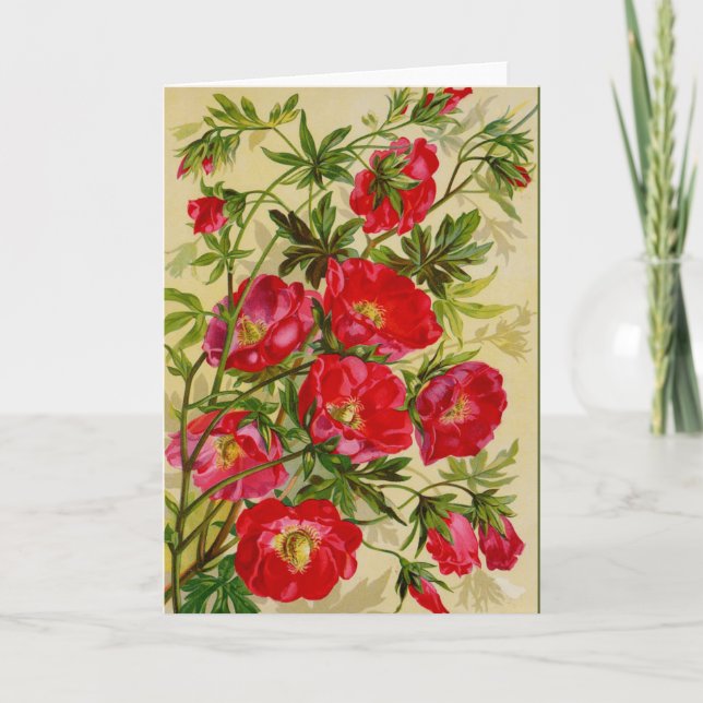 Beautiful Cherry Red Wild Rose Notecards Karte (Vorderseite)