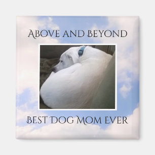 Beautiful Cloudy Sky Best Dog Mama Niedlich Calm B Magnet