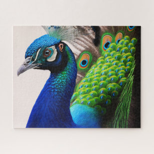 Beautiful Colorful Peacock Pfau Bird Houses Puzzle