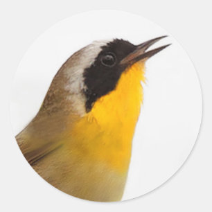 Beautiful Common Yellowthroat Warbler Songbird Runder Aufkleber
