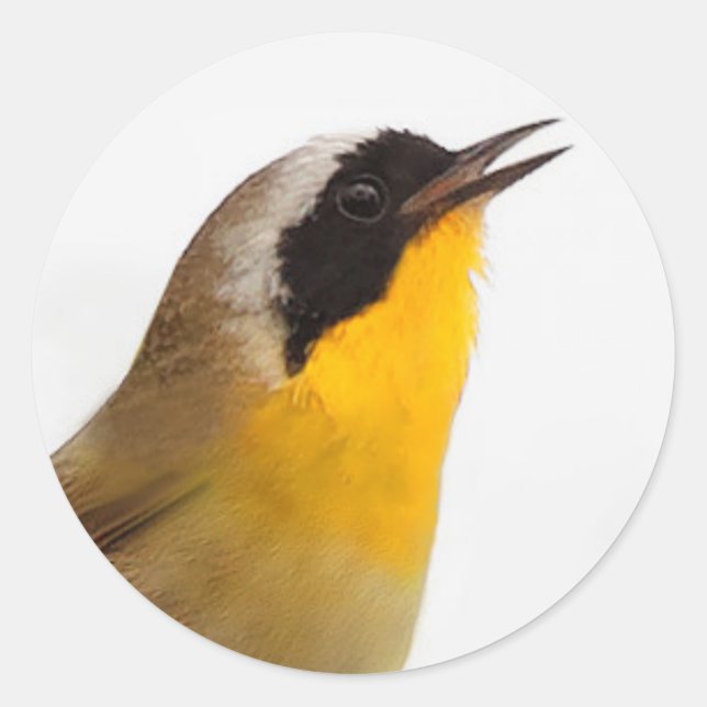 Beautiful Common Yellowthroat Warbler Songbird Runder Aufkleber (Vorderseite)