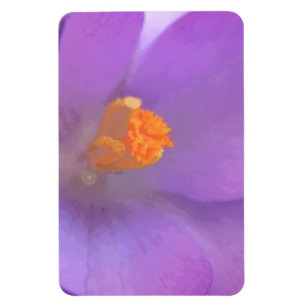 Beautiful Crocus Premium Magnet