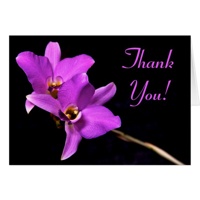 Beautiful Custom Orchid Dankeschön Karte (Vorderseite (Horizontal))