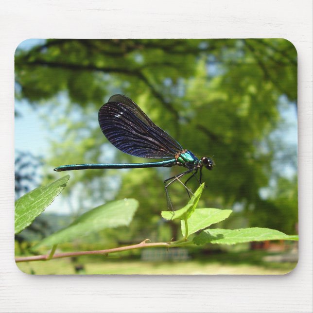 Beautiful Demoiselle Mouse Mat Mousepad (Vorne)