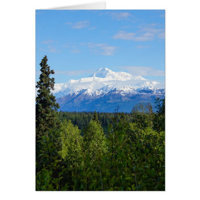 Beautiful Denali (Vorne)