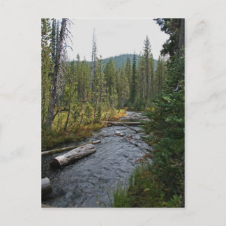 Beautiful Deschutes River Oregon Postkarte