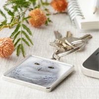 Beautiful Dreamy Serene Snowy Owl