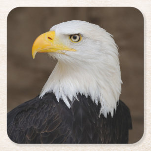 Beautiful Eagle Untersetzer Set