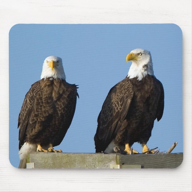 Beautiful Eagles Mouse Pad Mousepad (Vorne)
