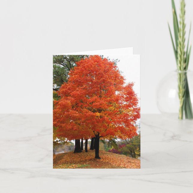 Beautiful Fall Notecard Karte (Vorderseite)