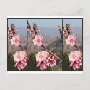 Beautiful Flower India UttraKHAND Fruit plantation Postkarte