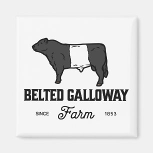 Beautiful Galloway Kuh rund Abzeichen oder Design Magnet