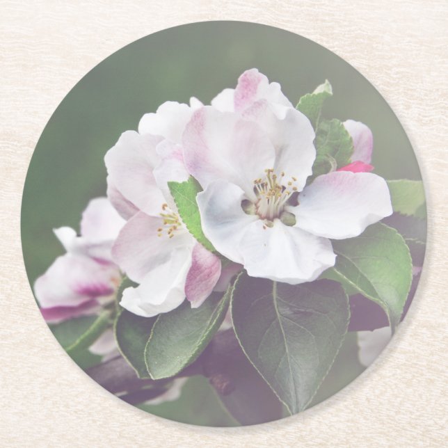 Beautiful Garden Blooms Spring Untersetzer (Vorderseite)