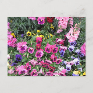 Beautiful Garden Postcard Postkarte