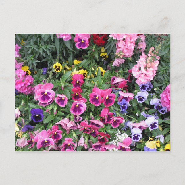 Beautiful Garden Postcard Postkarte (Vorderseite)