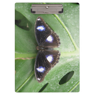Beautiful Gepunktet Butterfly Clipboard Klemmbrett