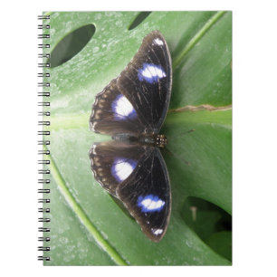 Beautiful Gepunktet Butterfly Notebook Notizblock