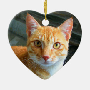 Beautiful Ginger Cat Keramikornament