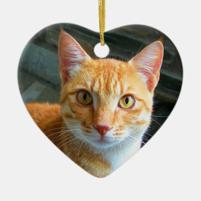 Beautiful Ginger Cat Keramikornament (Vorne)