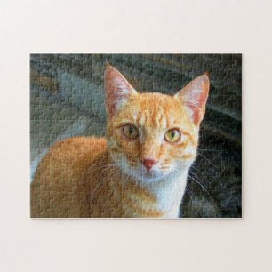 Beautiful Ginger Cat Puzzle