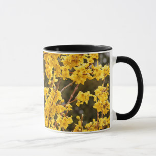 Beautiful Golden Forsythia Shrub Tasse