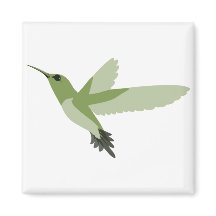 Beautiful Green Hummingbird