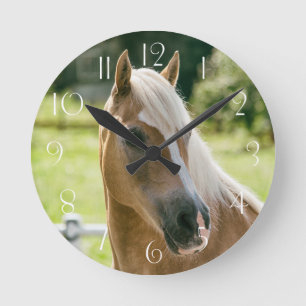 Beautiful haflinger horse portrait runde wanduhr