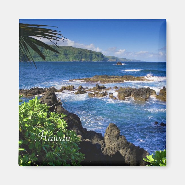 Beautiful Hawaii (etikettiert) Magnet (Vorne)