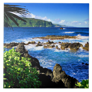 Beautiful Hawaii Fliese