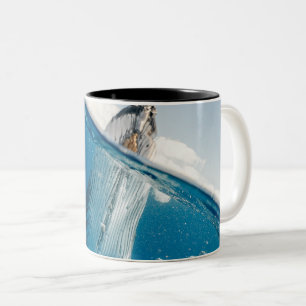 Beautiful Huge Whale Zweifarbige Tasse