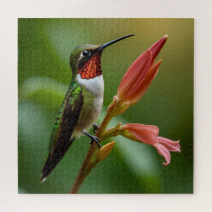 Beautiful Hummingbird Puzzle